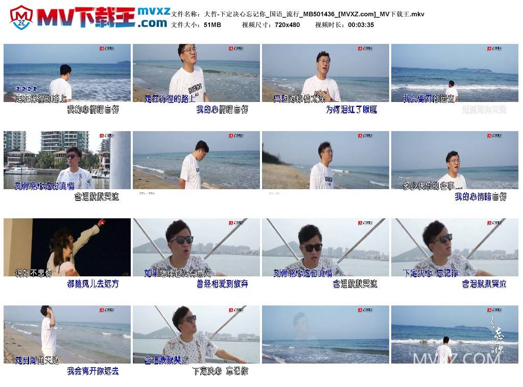 大哲-下定决心忘记你_国语_流行_MB501436